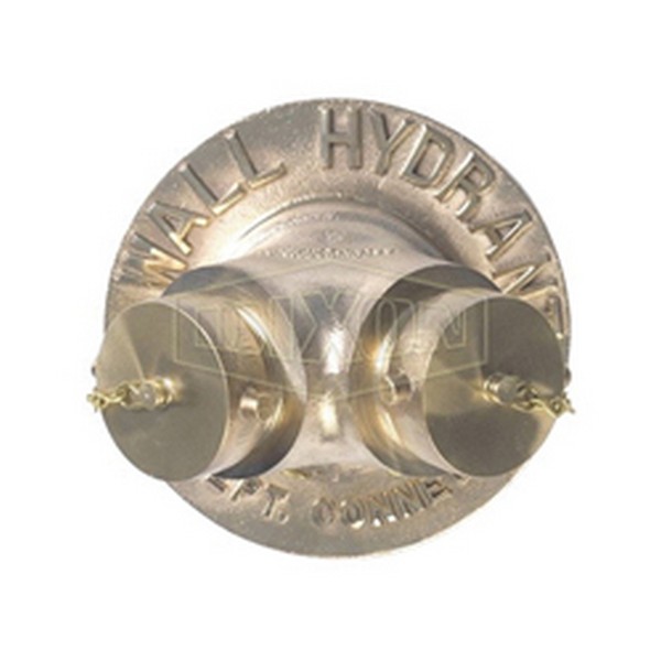 Exposed 2-Way Wall Hydrant, 4 x 2-1/2 x 2-1/2 Inch Nominal, FNPT x Male NST (NH) x Male NST (NH), Cast Brass, Polished