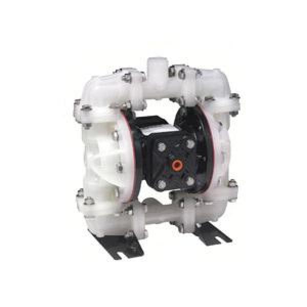 Diaphragm Pump, Air Operated, 14 GPM, 1/2 in Inlet, 1/2 in Outlet, 100 psi Maximum, 1/4 in Air Inlet, Buna-N® Diaphragm, Poly Body