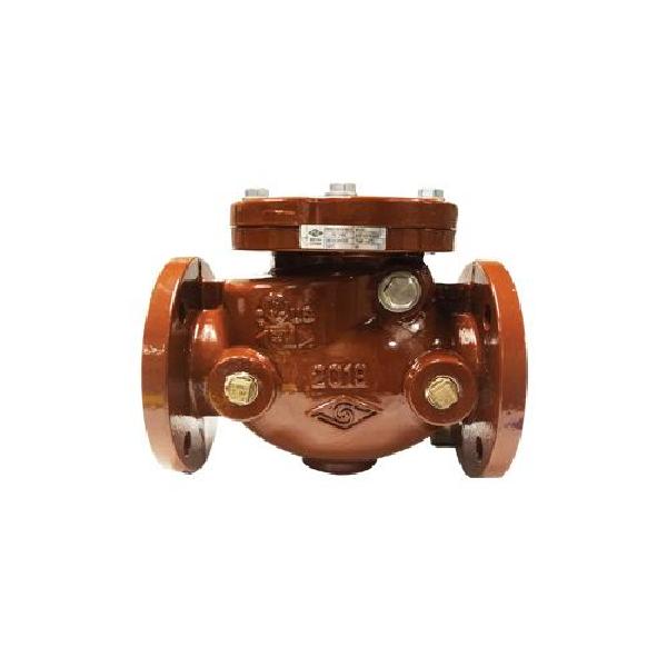 Swing Check Valve, 3 Inch Nominal, Flanged End Style, Ductile Iron Body, Ductile Iron Disc Trim, NBR O-Ring/Disc Seat Ring, PTFE Gasket Softgoods, Import