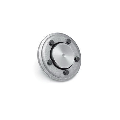 Flange Assembly, Type TBS, 4 in Bore Dia, Steel