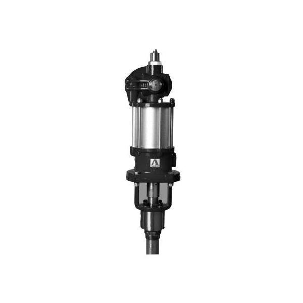 Oil Pump, 13 GPM, 1 in Female NPTF Outlet, Stainless Steel Body, PTFE Seal