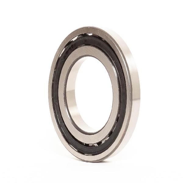 Roller Bearing, 60 mm Bore, 110 mm Outside Diameter, 22 mm Width
