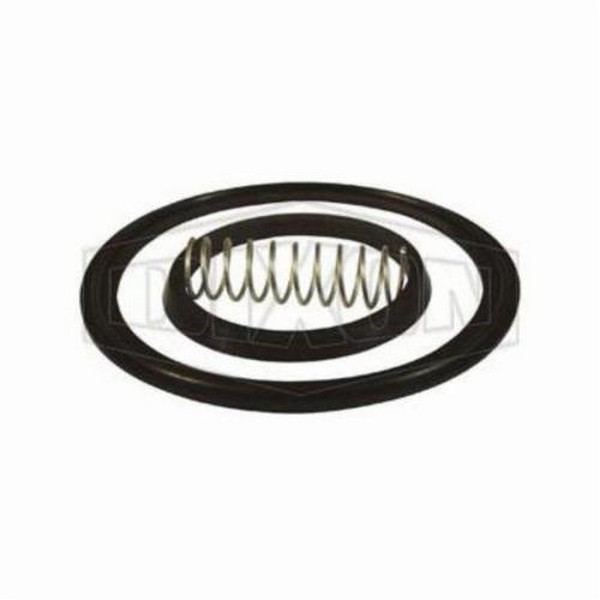Check Valve Repair Kit, Spring, Specifications: 1/2 in