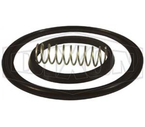 Valve Repair Kit, Specifications: 1 in, For Use With: Spring Check Valves, FKM