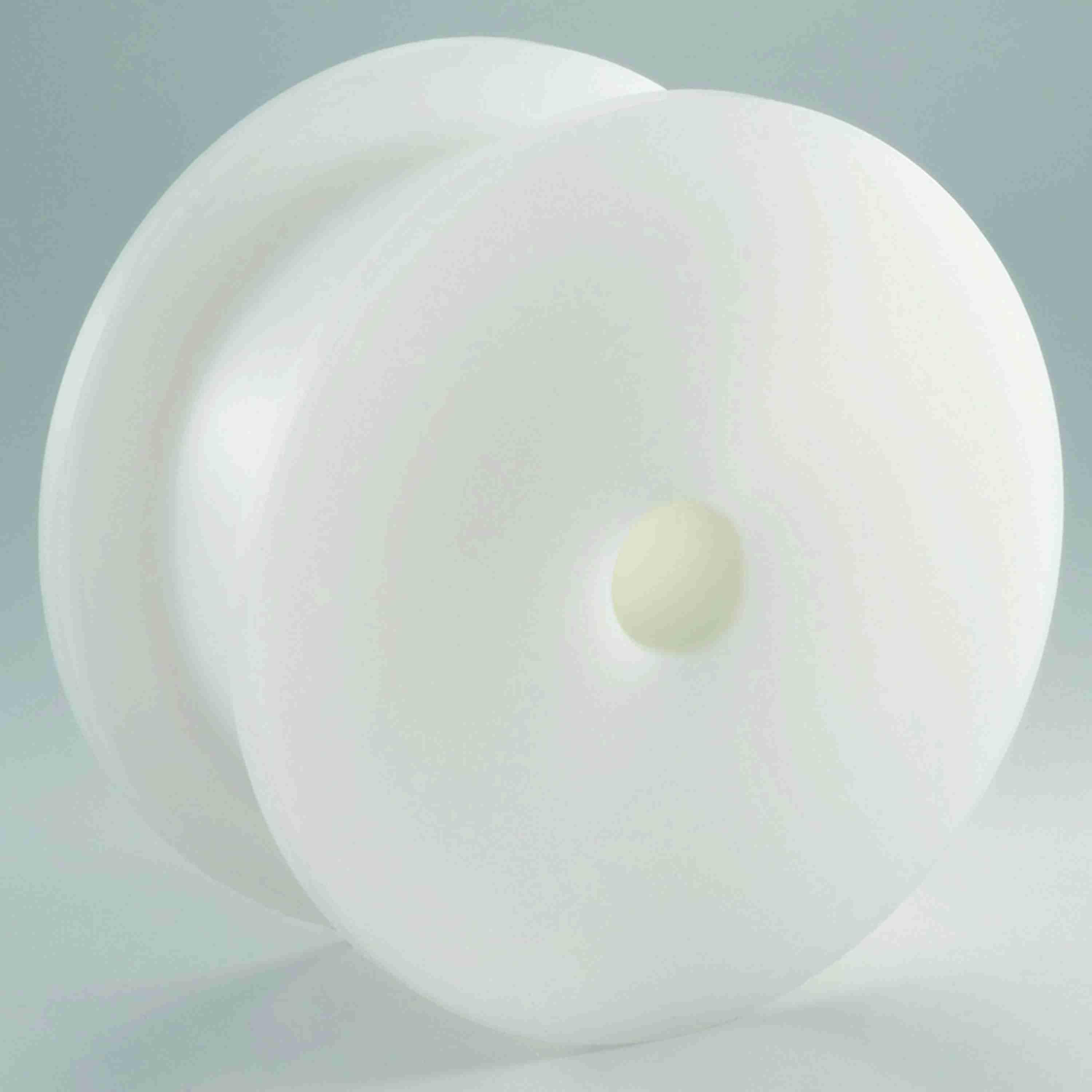 Machined Split Idler Wheel, Series: 820, 20 mm Bore Dia, 117 mm Outside Dia, 515, 812, 812L, 815, 815L, 815VG, 820, 820P, 828, 831, 831VG, 831LBP, 879, 879M, 879MVG, 879MLBP, 880, 880M, 881M, 881MO, 881MOVG Chain, 19 Teeth, 117.3 mm, 45 mm Hub Dia, 61 mm Length Through Bore, Polyamide