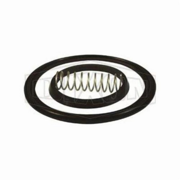 Check Valve Repair Kit, Spring, Specifications: 3 in