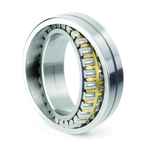 Roller Bearing, Spherical, 240 mm Bore, 440 mm Outside Diameter, 2 Rows, 160 mm Width