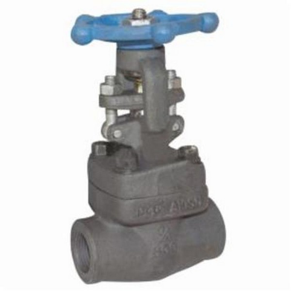 Gate Valve, 1 Inch Nominal, FNPT, 1975 psi, Class 800, 800 °F, Forged Steel Body