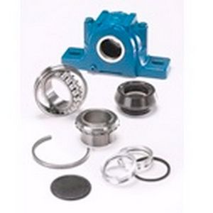 Cast Iron Pillow Block Roller Bearing