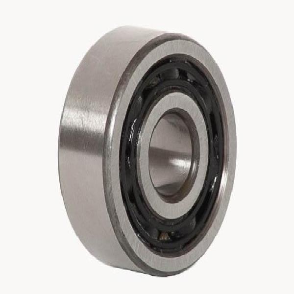 Ball Bearing, Deep Groove, 55 mm Bore, 120 mm Outside Diameter, 2 Rows, 43 mm Width