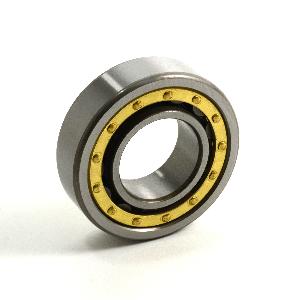 Cylindrical Roller Bearing, 40 mm Bore, 80 mm Outside Diameter, 1.1875 Inch Width