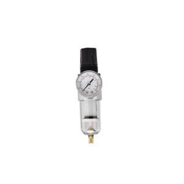 Filter/Regulator, 1/4 in FNPT Port