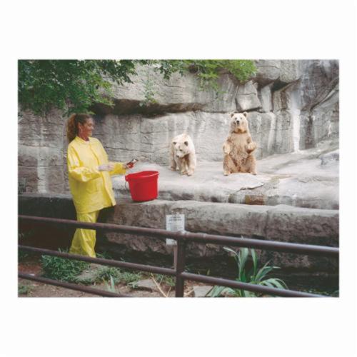 Rainwear suit, 3-Piece 1-Ply, Series: Zodiac O503, L, Yellow, PVC, Detachable Hood, 54 in Chest, 48 in Waist, 28-1/2 in Inseam Length, 0.1 mm Thickness, Snap Closure