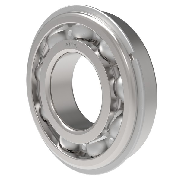 Deep Groove Ball Bearing, 55 mm Inside Diameter, 100 mm Outside Diameter, 21 mm Width, Open, Snap Ring, Steel