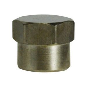 Adapter, Fitting/Connector Type: Adapter, 1-1/2 Inch Nominal, FBSPP x FNPT, Brass, Nickel Plated