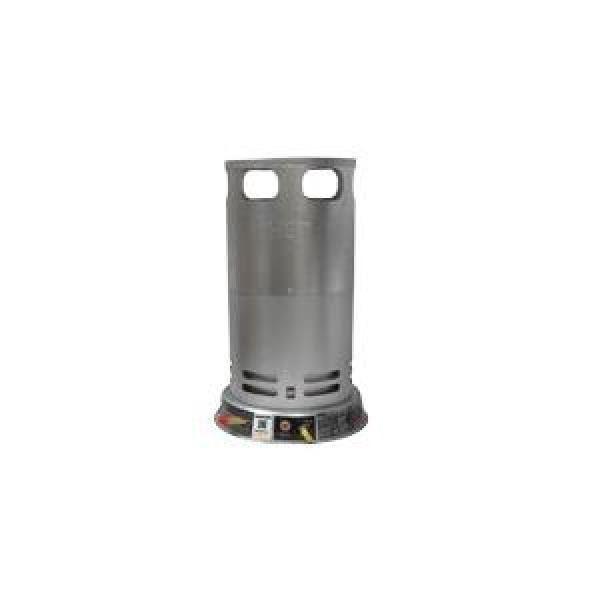 Convection Heater, 200000 Btu/hr., Liquid Propane, Steel, Import