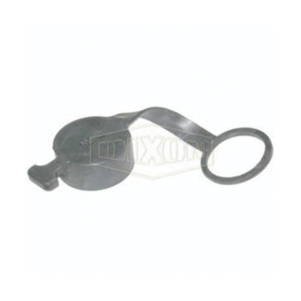 Dry Disconnect Dust Cap, 1 Inch, Polyethylene, Domestic