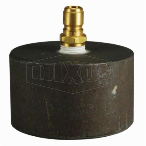 Test Cap, For Use With: Hydrostatic Test Pump, 1 Inch FNPT, Iron/Steel