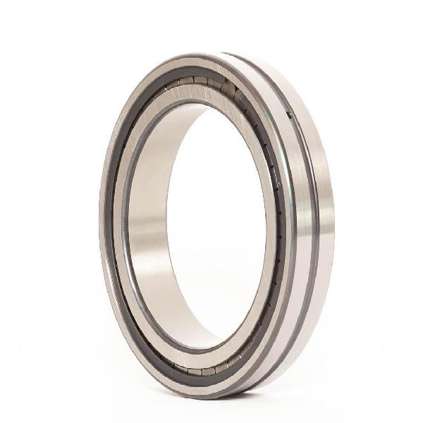 Cylindrical Roller Bearing, Straight Bore, Series: NNCF-4922, 110 mm Bore, 150 mm Outside Diameter, 2 Rows, 40 mm Width