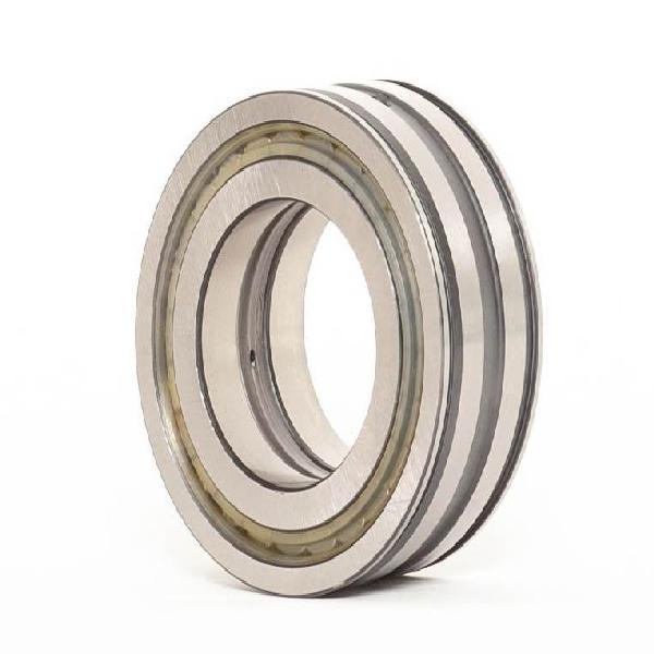 Cylindrical Roller Bearing, Straight Bore, Series: NNF-5022, 110 mm Bore, 170 mm Outside Diameter, 2 Rows, 80 mm Width