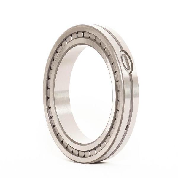 Cylindrical Roller Bearing, Straight Bore, Series: NNC-4920, 100 mm Bore, 140 mm Outside Diameter, 2 Rows, 40 mm Width