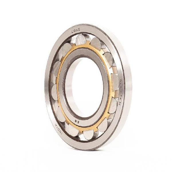 Cylindrical Roller Bearing, Straight Bore, Series: RXLS, 10 Inch Bore, 13.25 Inch Outside Diameter, 1 Rows, 1.625 Inch Width, Steel Cage