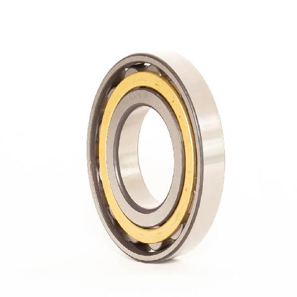Cylindrical Roller Bearing, Straight Bore, Series: N-322, 110 mm Bore, 240 mm Outside Diameter, 1 Rows, 50 mm Width, Bronze Cage