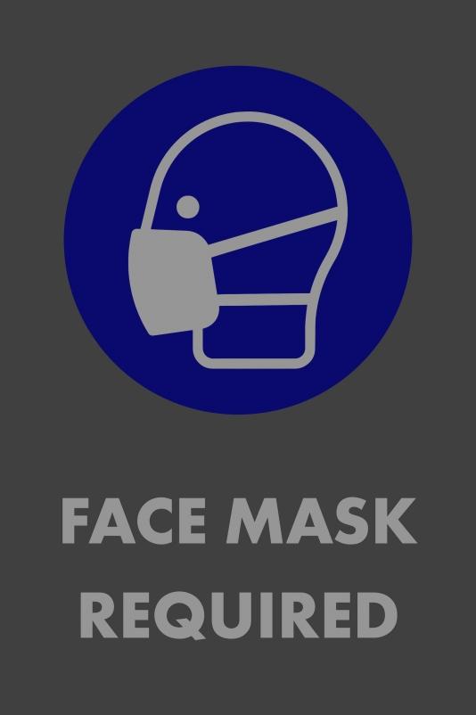 Entrance Mat, Face Mask Required, Series: 194MR, 72 in Length, 48 in Width, 3/8 in Thickness, Charcoal, Nylon, Standard Design Surface, Vinyl Backing, Bordered Edge, Indoor Indoor/Outdoor