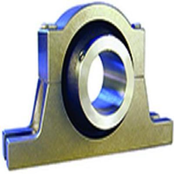 Pillow Block Plain Bearing Housed Unit, Self-Aligning, 2 in Bore, Cylindrical Bore, -40 to 200 °F, Polymer