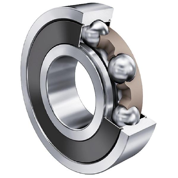Deep Groove Ball Bearing, 25 mm Bore, 52 mm Outside Diameter, 1 Rows, 15 mm Width, Double Seal Closure, Polyamide Cage
