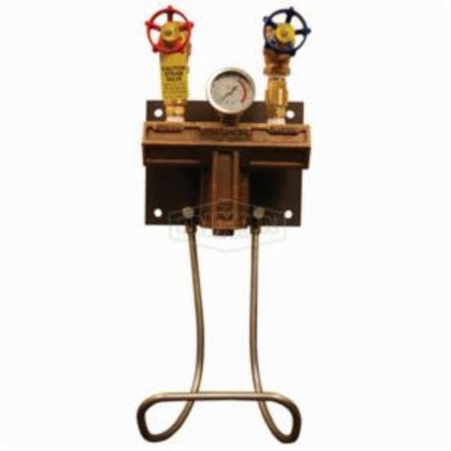 Water-Steam Washdown Station, 3/4 Inch, Wall Mount, Bronze, Domestic