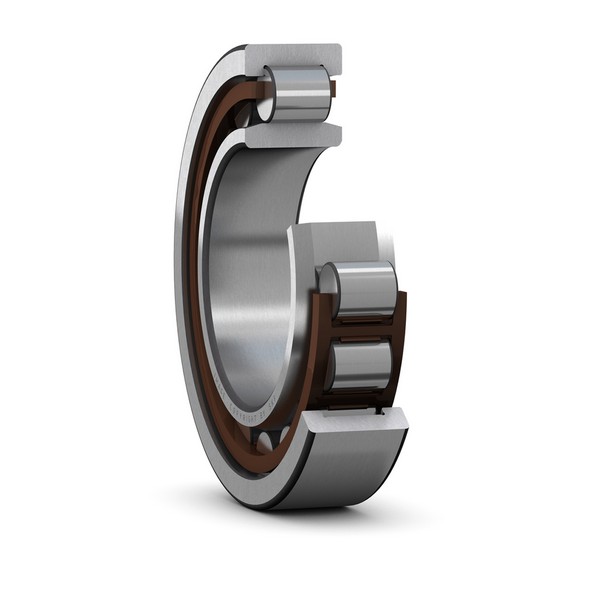 Cylindrical Roller Bearing, 17 mm Bore, 48 mm Outside Diameter, 1 Row, 14 mm Width, 28.5 kN Load, Steel Bearing, 20000 RPM Maximum, 300 °F