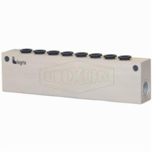Modular Manifold, 8 Outlets, 1/4 Inch FNPT Outlet, Brass/Composite