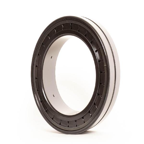 Cylindrical Roller Bearing, Straight Bore, Series: NNCF-5007, 35 mm Bore, 62 mm Outside Diameter, 2 Rows, 36 mm Width