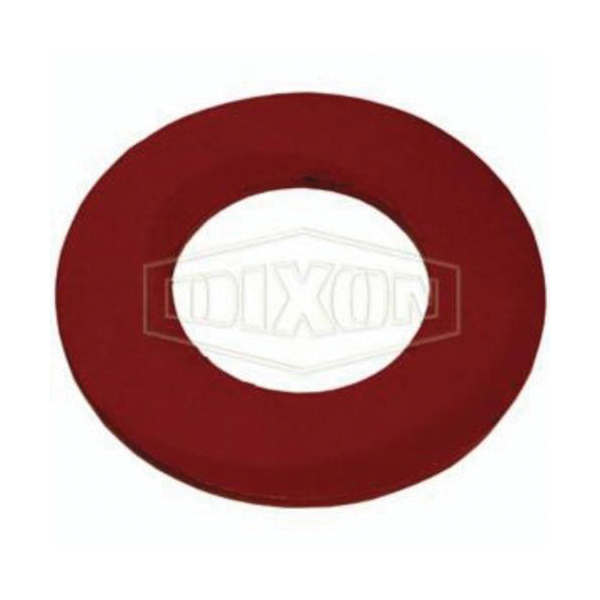Valve Replacement Part, For Use With: Cast Iron Threaded Foot Valve, 2 Inch, Cast Iron, Painted