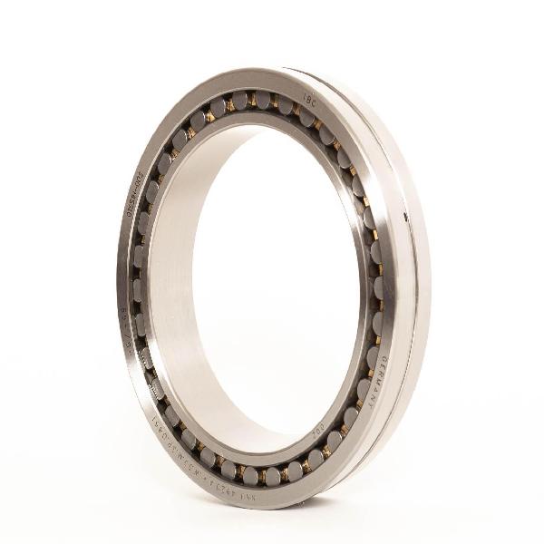 Cylindrical Roller Bearing, Tapered Bore, Series: NNU-49/500, 500 mm Bore, 670 mm Outside Diameter, 2 Rows, 170 mm Width, Bronze Cage