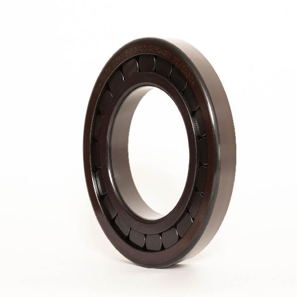Cylindrical Roller Bearing, Straight Bore, Series: NCF-3032, 160 mm Bore, 240 mm Outside Diameter, 1 Rows, 60 mm Width