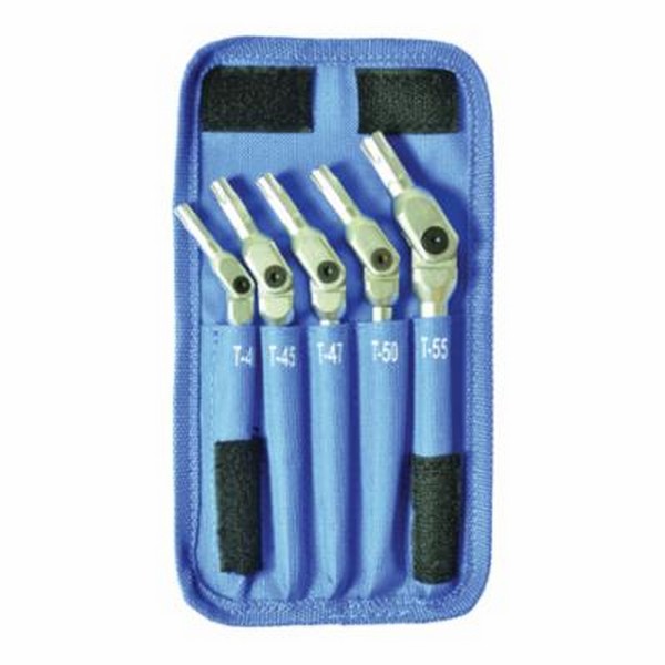 Key Set, Pivot Head, 5 Piece, T40 to T55 Torx, Tool Steel, Matte Chrome