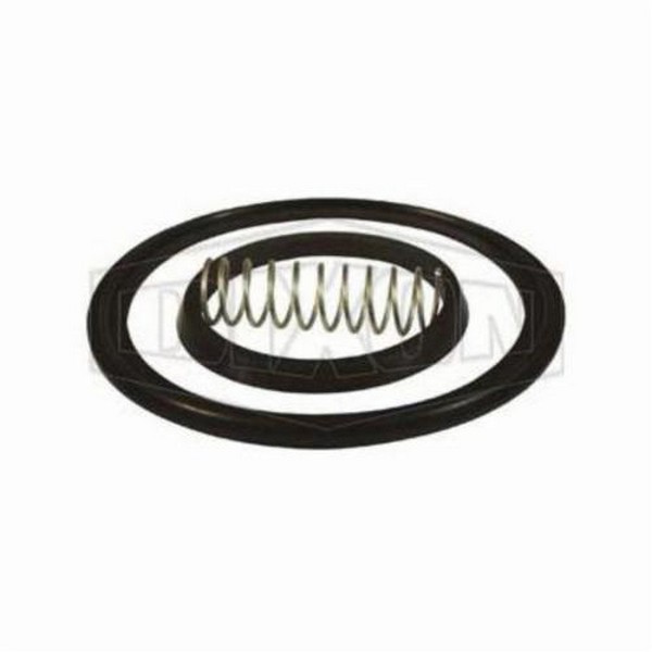 Check Valve Repair Kit, Spring, 2-1/2 in