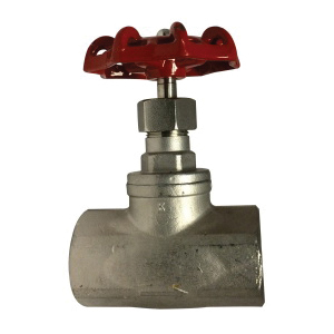 Globe Valve, 1 Inch Nominal, 200 psi, 78 mm Inlet to Outlet Length, CF8M 316 Stainless Steel Body, CF8M Stainless Steel Trim, PTFE Seal, Packing/CF8 Stainless Steel Gasket