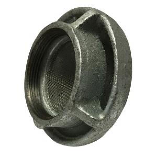 Mushroom Vent Cap, Threaded, Fitting/Connector Type: Cap, 2 Inch Nominal, 150 lb, 300 psi, Cast Iron, Hot Dipped Galvanized, -20 to 350 °F, Import