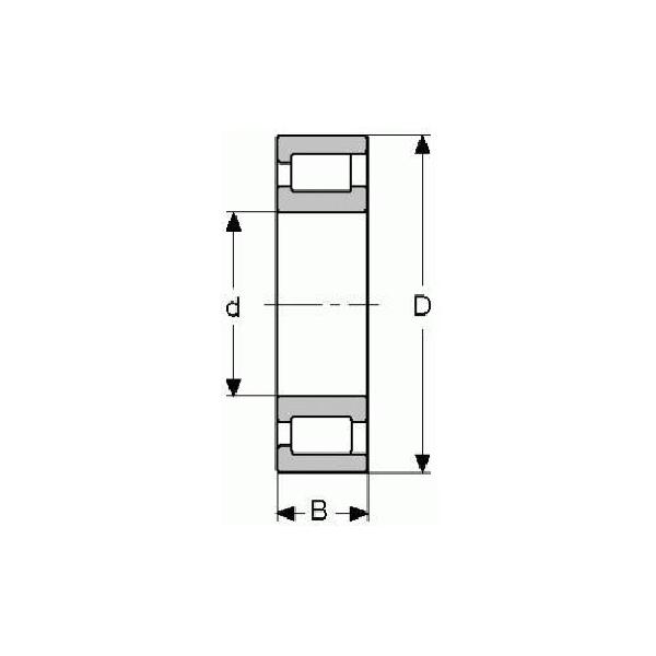 Cylindrical Roller Bearing, Straight Bore, Series: RMS, 1.125 Inch Bore, 2.8125 Inch Outside Diameter, 1 Rows, 0.8125 Inch Width, Steel Cage