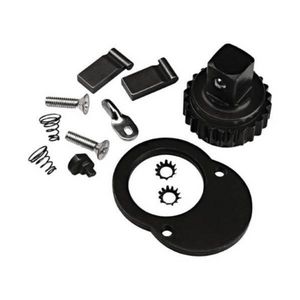 Repair Kit, Ratchet Head, For Use With: J6022B 1 in Drive Micrometer Torque Wrench, Alloy Steel
