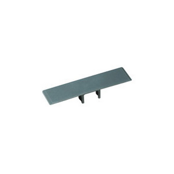 Flat Top Plate, Medium Duty, 2 in Width, For Use With: 843 Table Top® Conveyor Chain, Acetal, Tan