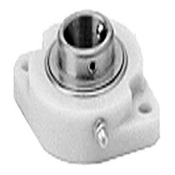 Flange Mount Ball Bearing Unit, 5/8 Inch Inside Diameter, Two-Bolt, Poly