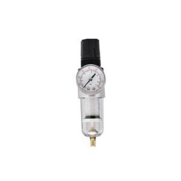 Filter/Regulator, 1/4 in Female NPTF, Polycarbonate Bowl