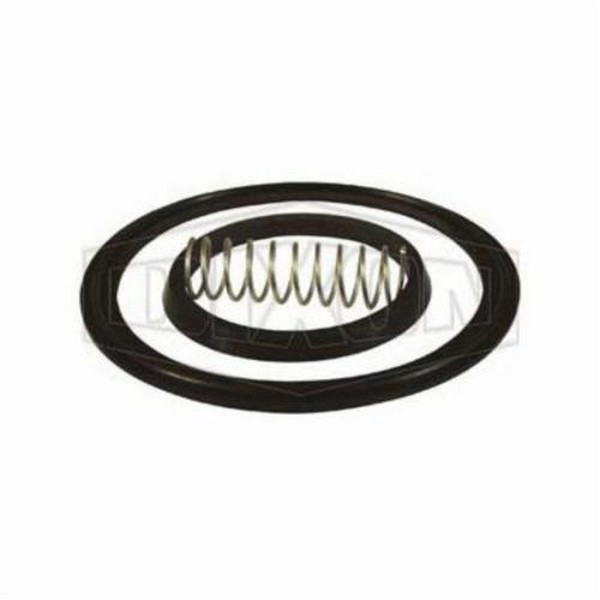 Check Valve Repair Kit, Spring, 1-1/2 in