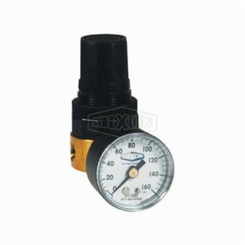 Miniature Water Regulator, RB3 Series, 1/4 Inch NPT/BSPP-G, 14 scfm, 2 to 125 psig Adjustable, 40 to 125 °F, Brass