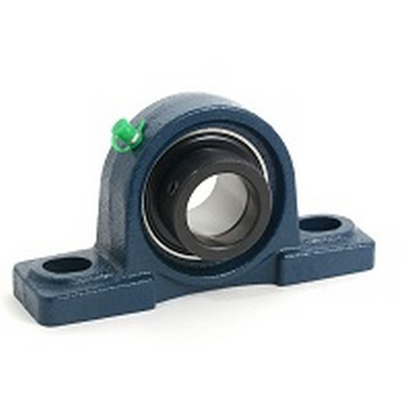 Pillow Block Bearing, 7/8 Inch Bore, Two-Bolt, 5-33/64 Inch Length, 2-43/64 Inch Height, Eccentric Collar, Cast Iron