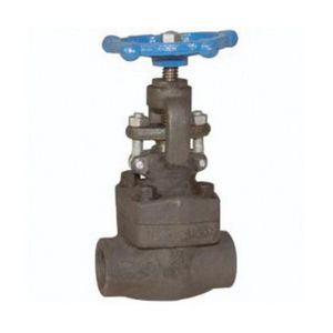 Globe Valve, 1 Inch Nominal, FNPT Connection End Style, 1975 psi Pressure, Class 800 Pressure Class, 800 °F, Forged Steel Body
